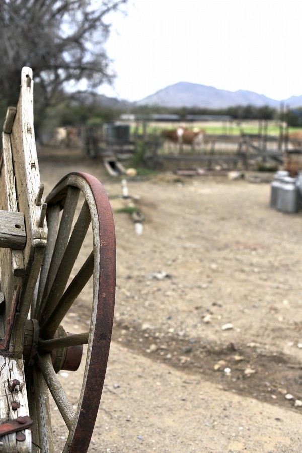 Adventures in Food - A weekend in the Karoo